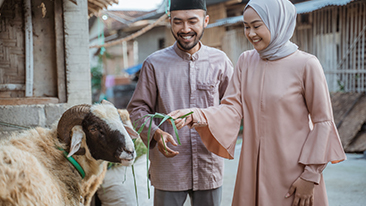 10 Perbedaan Qurban Dan Aqiqah Yang Wajib Untuk Dipahami